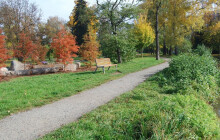 Přes 100 stromů a tisíc keřů. Prostějov čeká velká podzimní výsadba