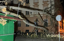 Strom se zřítil přímo na stánek. Na olomoucké tržnici zasahovali hasiči