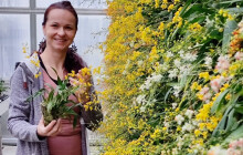 Markéta Aubrechtová Dlouhá: V Česku ji člověk jen tak neuvidí. Do Olomouce míří vzácná orchidej