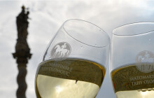 Víkendové akce v Olomouci: Svatomartinské hody, Flermarket i dobrodružný animák