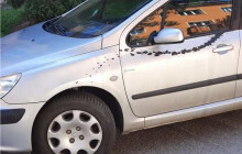 Auta na Nových Sadech někdo během dne poničil černou barvou