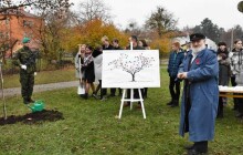 Dceřiný štěp Lidické hrušně vysadili v Hranicích zástupci ZŠ Šromotovo