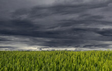 Počasí na víkend: V sobotu přijde oteplení, na horách může sněžit