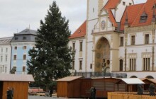 Víkendové akce v Olomouci: Rozsvícení stromku je zrušeno. Tahákem je hokejové utkání s Kladnem