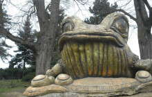 Tip na výlet: Vyrazte za žábou do Tršic