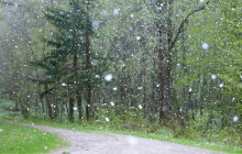 Počasí na víkend: Spadnou první sněhové vločky