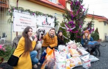 Pejsci i letos doufají v bohatou nadílku. Olomoucká Sbírka Šťastné a chlupaté startuje šestý ročník