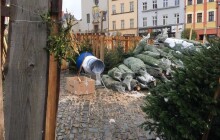 Zloděj v Olomouci ukradl sto vánočních stromečků