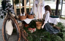 O Vánocích levněji do Zoo Olomouc. Připravená je i speciální výzdoba