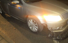 Bobr způsobil dopravní nehodu na Přerovsku