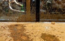 Bezohlednost fanoušků pyrotechniky si v Zoo Olomouc vybrala svoji daň