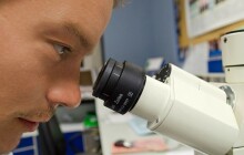 Vědci objevili a popsali unikátního brouka uloženého v maďarském jantaru z doby dinosaurů