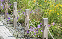 Jeseník rozkvete. Město čeká výsadba tisíců sazenic