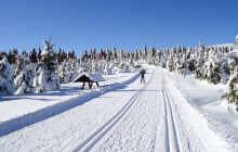 Lepší údržba běžeckých tras? Kraj vydá větší částku než loni