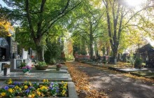 Olomouc bude pohřbívat zemřelé bez příbuzných také do přírodních hrobů