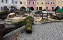 Staleté lípy z centra města zmizely. Nahradí je nová výsadba