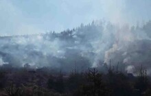 Lesní požár ve vojenském prostoru. Jedná se již o několikátý lesní požár v Olomouckém kraji.