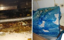 Myší trus a zanedbaný úklid. Inspekce zavřela asijskou restauraci v centru Olomouce