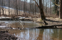 Jeho revírem je celé povodí Moravy. Bobr zanechává spoušť i na Jesenicku
