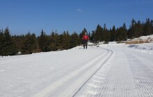 Zima se vrací. V Jeseníkách napadlo 20 centimetrů sněhu. Kde se ještě lyžuje?