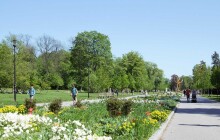 FOTOGALERIE: Letní počasí nabilo olomoucké parky životem