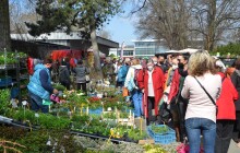 První akce na Floře po aktuálním rozvolnění, blíží se Zahradnické trhy