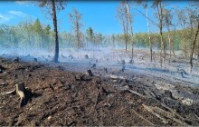 Na Babí hoře u Šternberka hořel les, na místě zasahovalo deset jednotek hasičů