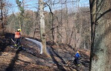 Požár lesa u Šternberka. Na místě zasahovalo sedm jednotek