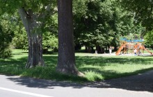 Nová podoba ASO parku? Město má v rukou studii revitalizace