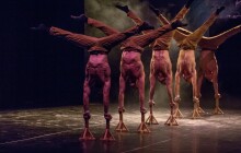 Špičkové cirkusové soubory pod širým nebem. Přehlídka Cirkuzkus nabídne  atraktivní program