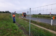ŘSD nechá u silnic a dálnic v kraji postavit ploty. Zabrání tak průniku zvěře a osob