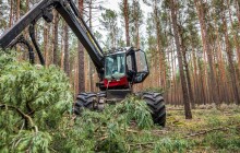 Těžba dřeva v Olomouckém kraji klesá, už třetí rok po sobě