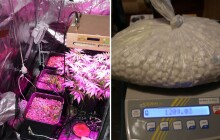 Policie odkryla organizovanou skupinu výrobců drog, obviněno sedm lidí