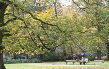 Stará budova toalet v Čechových sadech k zemi nepůjde. Čeká ji rekonstrukce