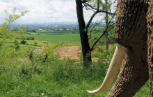 Radní dali rozhledně zelenou. Na Čekyňském kopci vyroste nová atrakce