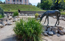 Šumperská kašna U koně je bez vody. Nepodařilo se ji napustit