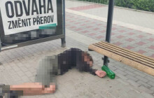 Zkoušeli ho probudit, ale marně. Skončil na záchytce