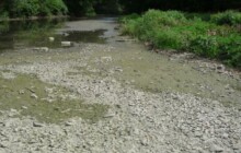 Šternberk zakázal kvůli suchu odebírat povrchovou vodu. Zákaz se týká i dalších měst a obcí