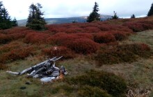 Neukáznění turisté používají nelegální ohniště. V Jeseníkách je přitom zvýšené riziko požárů