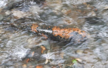 Nevybuchlá munice v Petrově. Pyrotechnik minu zneškodnil