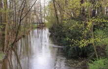 Zákaz odběru vody z potoků. Město tak reaguje na sucho