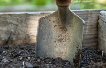 Hejtmanství zamítlo odvolání zahrádkářů z rušené kolonie