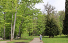 Do obnovy Smetanových sadů se mohou zapojit i místní. Radnice vyzývá občany k podnětům