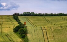 Sklizeň v kraji je u konce. Výnosy z obilí i řepky jsou vyšší než loni
