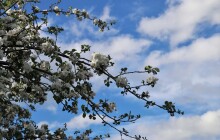 Počasí na víkend: místy přeháňky, teploty ale budou ustálené