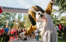 Pomozte týraným a opuštěným zvířatům. V Olomouci se poběží na pomoc útulkům