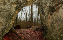 Tip na výlet: Skrz Průchodnici za pohledem na chráněné květiny