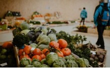 Podzimní Flora se koná na přelomu září a října, připomene zakladatele genetiky Gregora J. Mendela