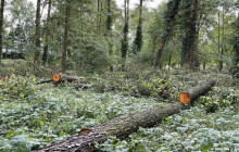 Město začalo s revitalizací lesoparku. Co tam chystá?