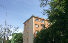 Žena v Neředíně se obávala o zdraví sovy na střeše, nebyla však pravá